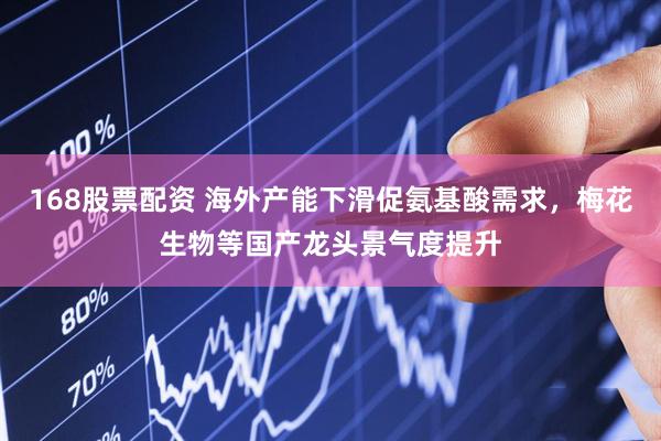 168股票配资 海外产能下滑促氨基酸需求，梅花生物等国产龙头景气度提升