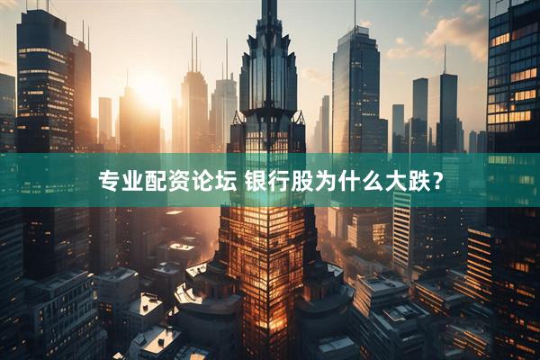 专业配资论坛 银行股为什么大跌？