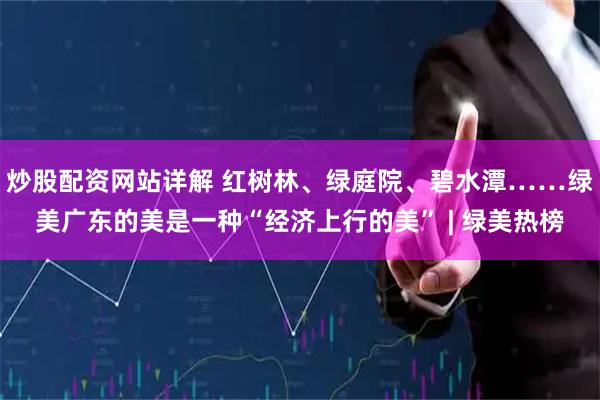 炒股配资网站详解 红树林、绿庭院、碧水潭……绿美广东的美是一种“经济上行的美” | 绿美热榜