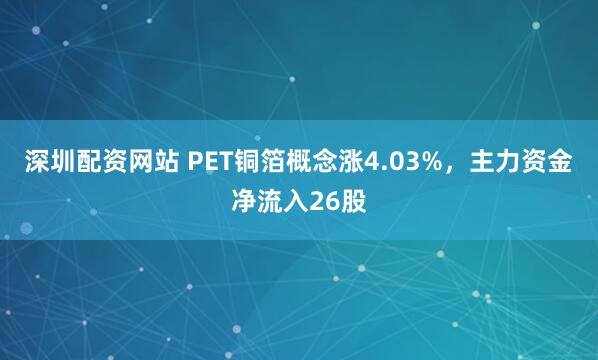 深圳配资网站 PET铜箔概念涨4.03%，主力资金净流入26股